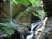 06456clstEx - Family Vacation - A Walk Behind The Falls - Watkins Glen, NY  Peter Rhebergen - Each New Day a Miracle